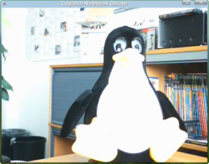 Abbildung 1: Die günstigere Quickcam von Logitech (links) stellt das Testbild kontrastreicher dar. Das Deluxe-Modell (rechts) bringt unter Linux keine Vorteile.