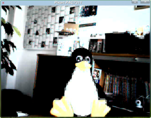Abbildung 2: Unter Linux stellt die Philips-Webcam 300NC maximal 320x240 Pixel dar (links). Der Treiber für das Notebook-Modell 610NC (rechts) befindet sich noch in Entwicklung.