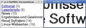 Abbildung 1: In der Vergrößerung wird es deutlich: Pixelgrafiken sind nicht skalierbar.