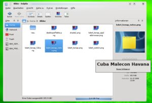 Abbildung 1: Dolphin erlaubt bereits jetzt das Taggen von Dateien unter KDE 4.