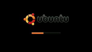 Abbildung 1: Der grafische Bootsplash unter Ubuntu verdeckt die Startmeldungen und zeigt stattdessen einen Fortschrittsbalken.