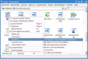 Abbildung 1: Schnellste Kopiermethode: Über das Kontextmenü in das öffentliche Verzeichnis.