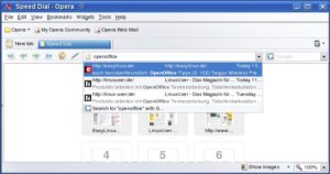 Abbildung 1: Die Eingabe eines Begriffs in der Adressleiste von Opera startet eine Suche im Browser-Cache.