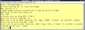 Abbildung 1: Der Aufruf <code srcset=