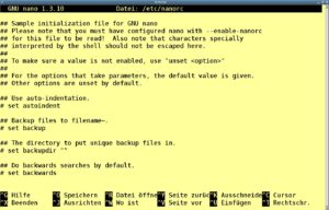 Abbildung 1: Nano mit der geöffneten Konfigurationsdatei     <code srcset=