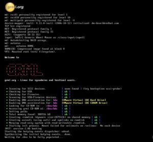 Abbildung 1: Grml erkennt beim Systemstart die vorhandene Hardware selbständig und bindet sie via Udev und Hotplug ein.