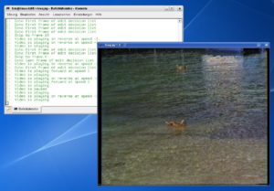 Abbildung 1: Hier läuft Veejay und zeigt im Vordergrund das Video. Im Terminal protokolliert das Effektprogramm zugleich seine Aktionen.