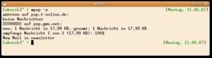 Abbildung 1: Die Ausgabe des POP3-Client beim Abfragen der Postfächer.