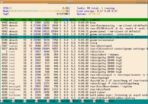 Abbildung 1: Der Prozess-Viewer Htop gibt sich sehr übersichtlich.