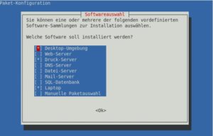 Abbildung 1: Über Tasksel treffen Sie eine Vorauswahl der Softwarepakete.