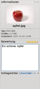 Abbildung 1: Sieht schön aus, funktioniert aber noch nicht komplett: Der Dialog zu Meta-Informationen von Dolphin.