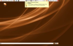 Abbildung 1: Unter Ubuntu zeigt der X-Server eine Auflösung an, die wie einer Mischung aus WXGA und XGA aussieht.