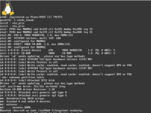 Abbildung 1: Der traditionelle Bootscreen von Paldo im Framebuffer-Modus.