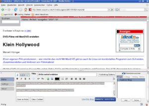 Abbildung 1: So sieht der Eintrag im Performancing-Plug-in aus, nachdem Sie ihn erzeugt haben. Nach einem Klick auf "Publish to Blog" …