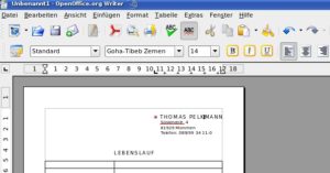 Abbildung 11: Mit dem Formatpinsel übertragen Sie das Format eines Elements per Mausklick auf ein anderes.