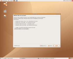 Abbildung 2: Entweder gewähren Sie Ubuntu eine ganze Festplatte oder geben ein Partitionsschema von Hand ein.