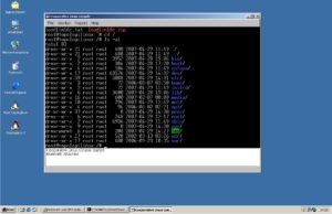 Abbildung 2: Die Distribution Topologilinux setzt dank CoLinux auf friedliche Koexistenz zu Windows.