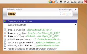 Abbildung 2: Ein Doppelklick auf Googles Suchbutton öffnet das Schnellsuchfeld, das die Suche schon während der Eingabe startet.