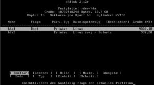 Abbildung 2: Mit Cfdisk beschreiben Sie die Partitionstabelle mit einer nativen Linux- und einer Swap-Partition.