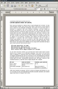 Abbildung 2: Importschwächen: Bei Abiword sind beim Öffnen der Referenzdatei Bild und Bildunterschrift verlorengegangen.