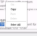 Abbildung 2: Die Kontextmenüfunktionen von Prism reduzieren sich auf Funktionen zum Kopieren und Einfügen von Texten.