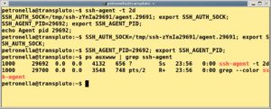 Abbildung 2: <code srcset=