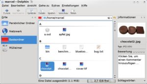 Abbildung 2: Praktisch und hübsch: Dolphin gruppiert Dateien und Verzeichnisse übersichtlich.