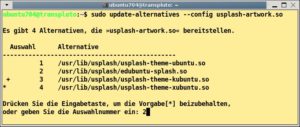 Abbildung 3: Über die "alternatives" legen Sie eine Standardanwendung (hier für den USplash-Screen) fest.