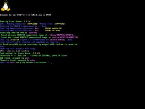 Abbildung 3: Nach der Eingabe der Startparameter begleitet Knoppix die Initialisierung des Systems mit bunten Statusmeldungen.