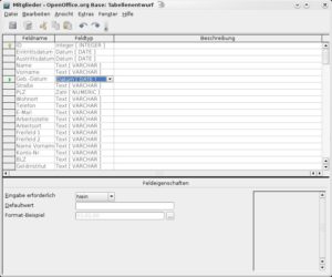 Abbildung 3: Im Bearbeitungsmodus der Tabelle "Mitglieder" legen Sie das Format der Eingabefelder fest; bei "Geb.-Datum" hier zum Beispiel "Datum <code srcset=