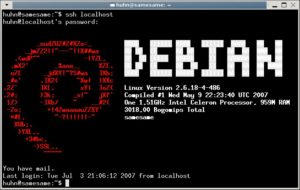 Abbildung 3: Dank Linux_logo begrüßt Sie Ihr PC nun mit einem bunten, farbigen Bildchen.