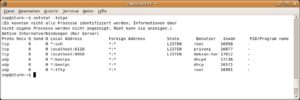 Abbildung 3: Geben Sie auf der Konsole den Befehl <code srcset=