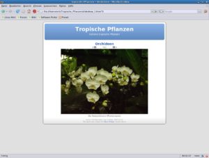 Abbildung 3: Fotosammlungen können in jedem Webbrowser angezeigt werden.