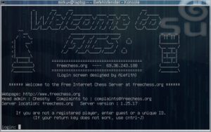 Abbildung 3: Sehr spartanisch gibt sich die Serveranbindung mittels Telnet-Client.