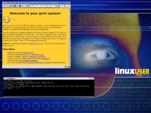 Abbildung 3: Grml bringt einige schlanke Windowmanager mit. Damit eignet sich das System auch für ältere Hardware als Desktop.