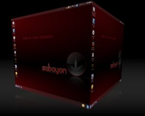Abbildung 4: Mit Sabayon lässt sich auch ein recht einfacher Blick auf die 3D-Desktop-Effekte werfen. Die Live-Distribution aktiviert sie automatisch.