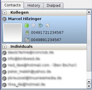 Abbildung 4: Kontakte verwalten: Im Register "Contacts" erscheinen Ihre Gesprächspartner, wahlweise auch mit Bildchen und Telefonnummern.
