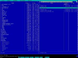 Abbildung 4: Der Midnight Commander teilt den Bildschirm in zwei Hälften, was den Dateiaustausch via FTP oder SSH erleichtert.