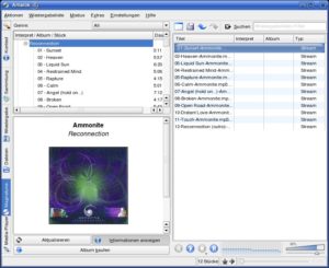 Abbildung 5: die neueste Version 1.4.4 integriert auch den Musikshop "Magnatune". Der bietet vollständiges Vorhören der Titel und verzichtet auf DRM.