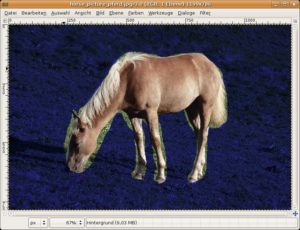Abbildung 5: In Gimp 2.4 färbt sich nach dem Umfahren des Vordergrundobjekts mit dem Lasso der Hintergrund blau.