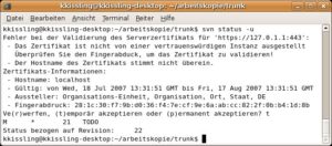 Abbildung 6: Die Statusabfrage zeigt: Sowohl lokal als auch im Repository wurde die Datei TODO verändert.