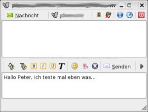 Abbildung 6: Ein Klick auf einen Kontakt öffnet das Chat-Fenster, das aus zwei Teilen besteht. Unten geben Sie die Nachrichten ein, oben erscheinen sie.