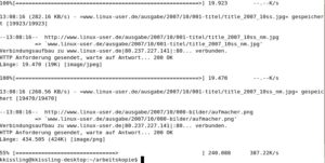 Abbildung 7: Wget gehört zu den Standard-Tools unter Linux, wenn es darum geht, Webseiten und ihre Elemente herunterzuladen. Das Programm eignet sich aber auch als ganz normaler Downloadmanager.