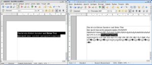 Abbildung 7: Copy & Paste von OpenOffice (Host) zu OpenOffice (Gast) funktioniert nicht.