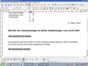 Abbildung 8: Wählen Sie über die Symbolleiste eine Schriftgröße, die die Lesbarkeit Ihres Anschreibens nicht beeinträchtigt.