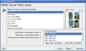 Abbildung 8: Der Druckassistent platziert mehrere Bilder auf einer Seite. Allerdings dauert der Druck ziemlich lange.