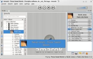 Abbildung 9: Die Alpha-Version von Amarok 2.0 erlaubt bereits einen Blick auf das Design. Der freie Bereich in der Mitte ist für Plasma-Applets gedacht.