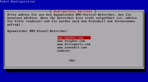 Abbildung 9: Unter Ubuntu richten Sie Ddclient direkt bei der Installation der Software über den Paketmanager ein.