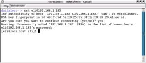 Abbildung 1: Erste Kontaktaufnahme per SSH mit einem fremden System.
