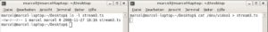 Abbildung 3: Die Datei ist null Byte groß (links). Das Cat-Kommando läuft (rechts), speist jedoch nichts in die Datei ein.